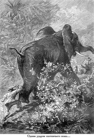 Жюль Верн - Южная звезда