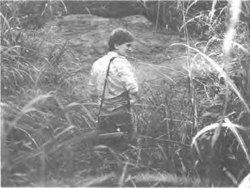 Эрих фон Дэникен - Боги майя [День, когда явились боги]