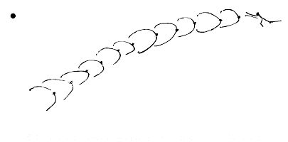 Марк Розовский - Штучки