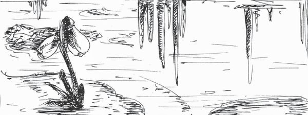 Татьяна Вязникова, Александр Голод - Огородный календарь