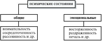 Психология и педагогика. Курс лекций