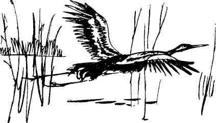 Николай Глебов, Григорий Устинов и др. - Колокольчик в тайге