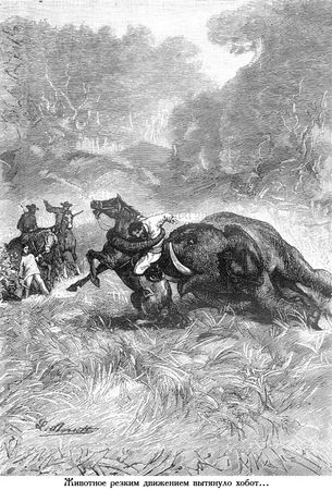 Жюль Верн - Южная звезда