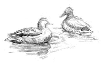 Иван Шмелев - Детям (сборник)