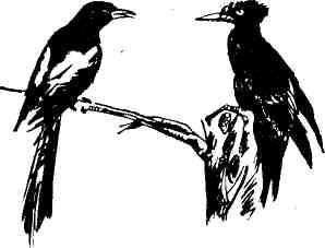 Николай Глебов, Григорий Устинов и др. - Колокольчик в тайге