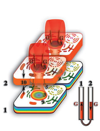 Николай Левашов - Неоднородная Вселенная