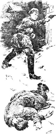 Игорь Голосовский - Записки чекиста Братченко