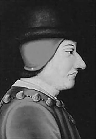 Николай Николаев, Василий Веденеев - 100 великих курьезов истории