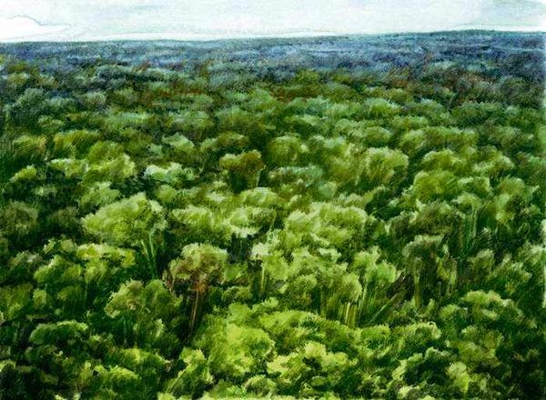 Екатерина Горбачева, Светлана Хворостухина - Географические открытия