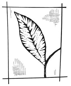 Татьяна Шнуровозова - Вышиваем гладью цветы и картины