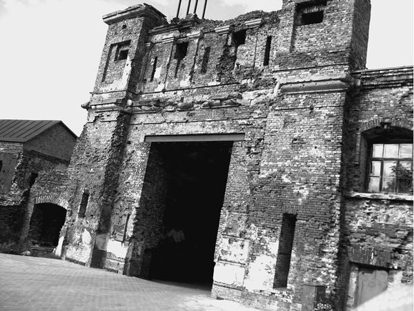 Василий Веденеев - 100 великих тайн Третьего рейха