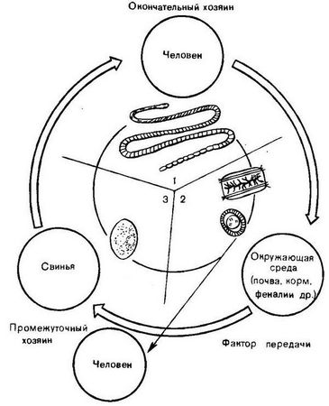Давид Генис - Паразитология