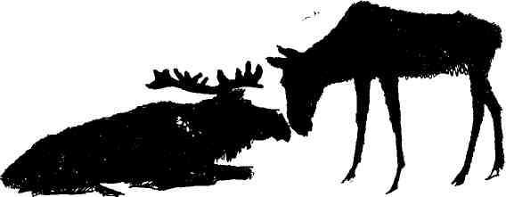 Николай Глебов, Григорий Устинов и др. - Колокольчик в тайге