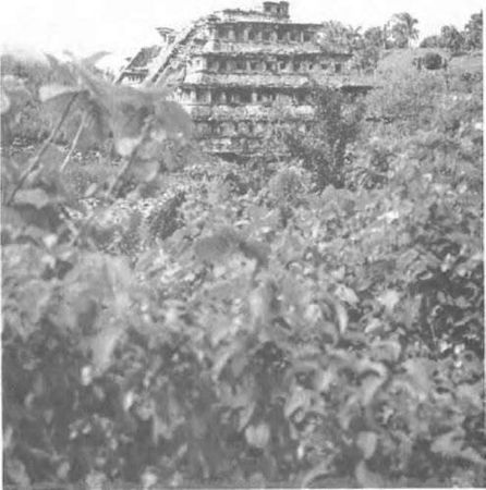 Эрих фон Дэникен - Боги майя [День, когда явились боги]