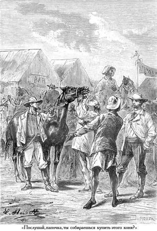 Жюль Верн - Южная звезда