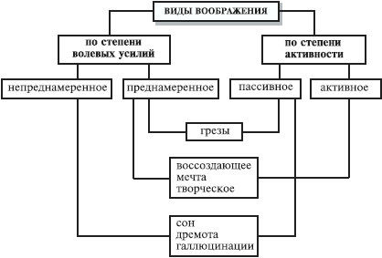 Анна Луковцева - Психология и педагогика. Курс лекций
