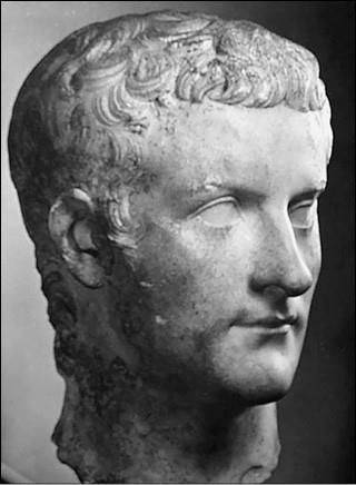 Николай Николаев, Василий Веденеев - 100 великих курьезов истории