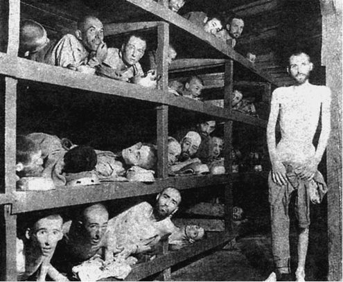 Василий Веденеев - 100 великих тайн Третьего рейха