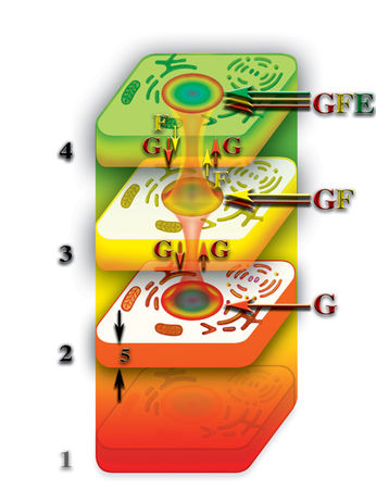 Николай Левашов - Неоднородная Вселенная