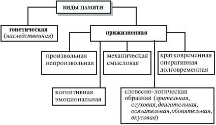 Анна Луковцева - Психология и педагогика. Курс лекций