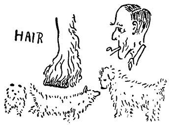 Карел Чапек - Рассказы северных ветров, или По пабам и паркам