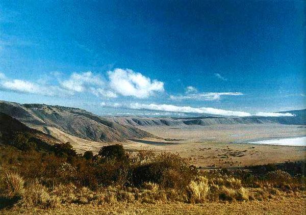 Екатерина Горбачева, Светлана Хворостухина - Географические открытия