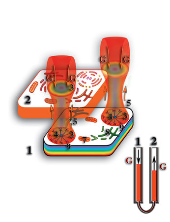 Николай Левашов - Неоднородная Вселенная