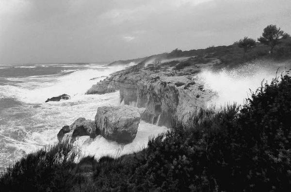 Анатолий Бернацкий - 100 великих тайн человека