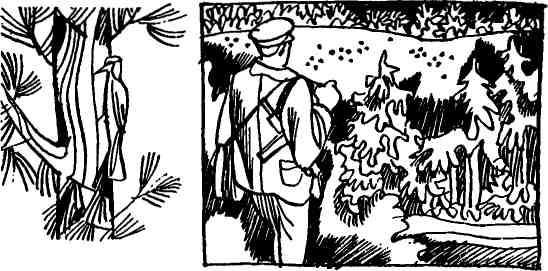 Семен Стрельцов - Белые призраки