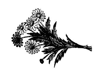 Сергей Есенин - Не жалею, не зову, не плачу...