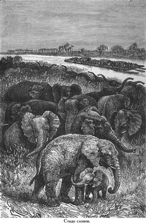 Жюль Верн - Южная звезда