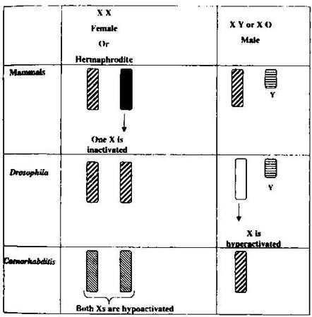 Марина Бутовская - Тайны пола. Мужчина и женщина в зеркале эволюции