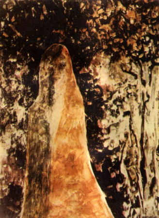 Рабиндранат Тагор - Стихотворения. Рассказы. Гора