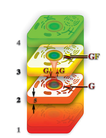 Николай Левашов - Неоднородная Вселенная