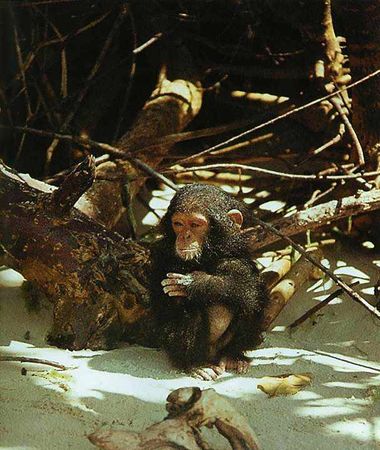 Екатерина Горбачева, Светлана Хворостухина - Географические открытия