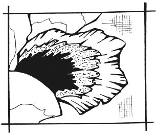 Татьяна Шнуровозова - Вышиваем гладью цветы и картины