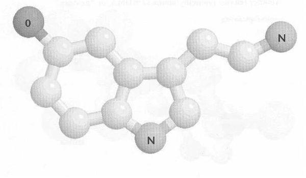 Рик Страссман - ДМТ - Молекула духа