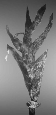 Джордж Пойнар, мл., Роберт Пойнар - Кто кусал динозавров?