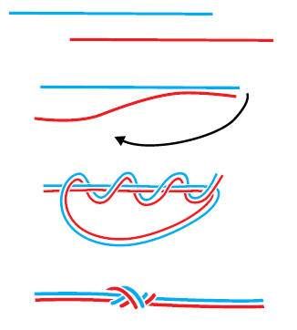 Валерий Демус - Большая книга узлов. Рыбацкие, охотничьи, морские, туристские,...