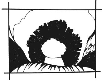 Татьяна Шнуровозова - Вышиваем гладью цветы и картины