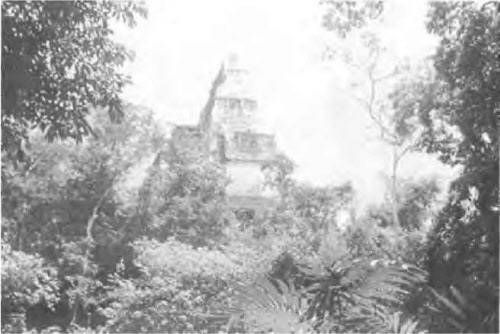 Эрих фон Дэникен - Боги майя [День, когда явились боги]