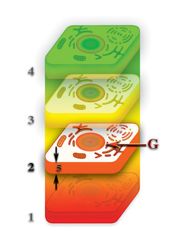 Николай Левашов - Неоднородная Вселенная