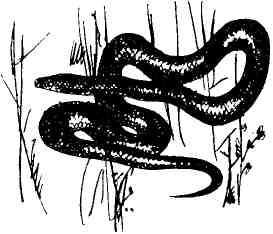 Николай Глебов, Григорий Устинов и др. - Колокольчик в тайге