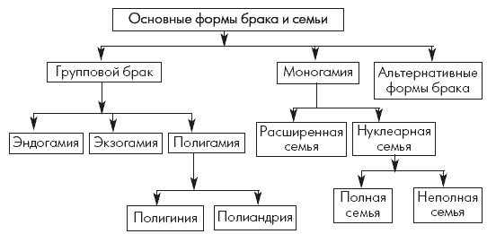 Надежда Клушина, Елена Зритнева - Семьеведение: учебное пособие