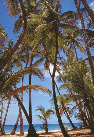 Екатерина Горбачева, Светлана Хворостухина - Географические открытия