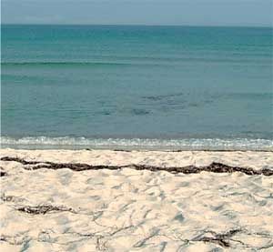 Влада Макарычева - Дальний Восток. Путеводитель