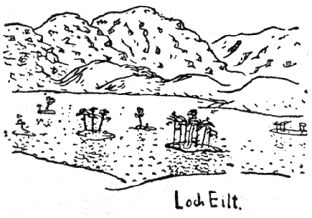 Карел Чапек - Рассказы северных ветров, или По пабам и паркам