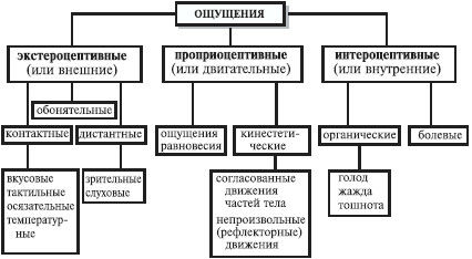 Анна Луковцева - Психология и педагогика. Курс лекций