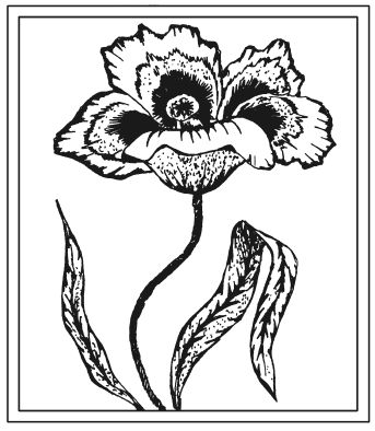 Татьяна Шнуровозова - Вышиваем гладью цветы и картины