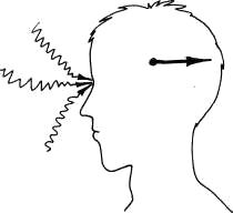 Дмитрий Верищагин - Освобождение